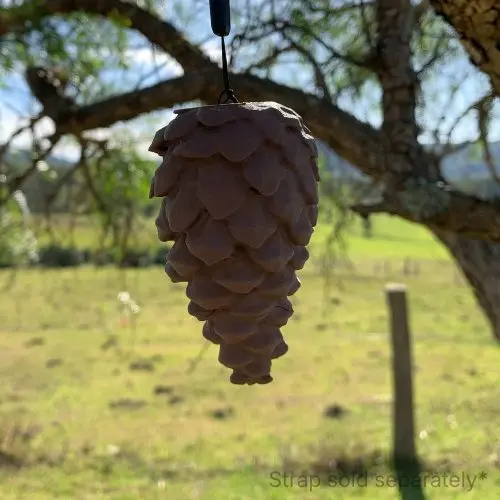 Pine Cone Geocache